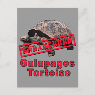 Galapagos Tortoise Bedreigde Kunst Tshirts Briefkaart