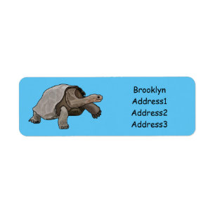 Galapagos tortoise cartoon etiket