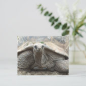 Galapagos Tortoise Postcard Briefkaart (Staand voorkant)