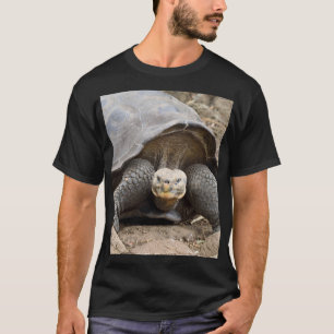 Galapagos Tortoise T-shirt