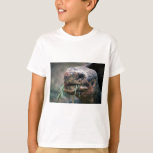 Galapagos Turtle, Galapagos T-shirt