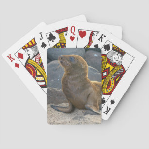 Galapagos zee leeuw pokerkaarten