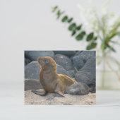 Galapagos Zee Lion Briefkaart (Staand voorkant)