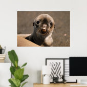 Galapagos Zee Lion Poster (Thuiskantoor)