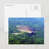 galapagos zee schildpad briefkaart (Voorkant / Achterkant)