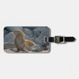 Galapagos Zeerover Bagagelabel