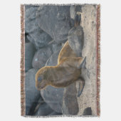 Galapagos Zeerover Deken (Voorkant Verticaal)