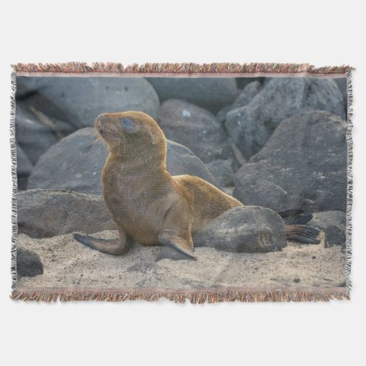Galapagos Zeerover Deken (Voorkant)