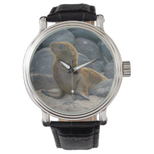 Galapagos Zeerover Horloge