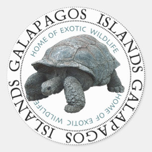 Galapagoseilanden Vis Tortoise Stickers