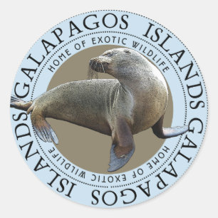 Galapagoseilanden Zee Leeuwen Ronde Sticker