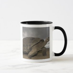Galapagosreuzenschildpad Geochelone Mok