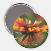 Galardia Magneet (Voorkant / Achterkant)