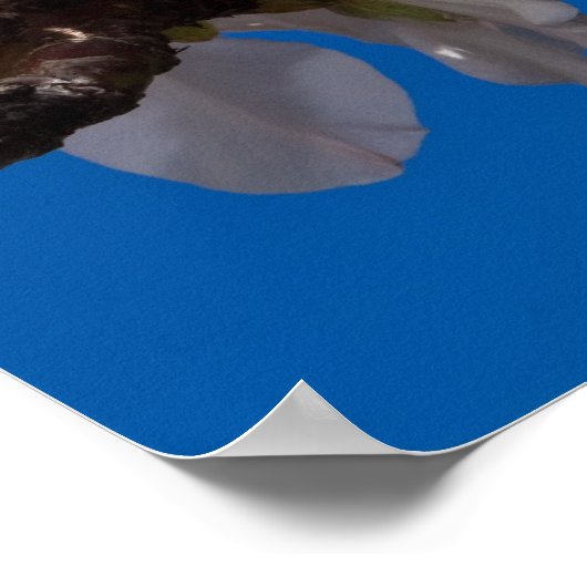 Galates 5:22,23 Poster (Coin)