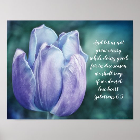 Galates 6:9 Poster de tulipe bleue (Devant)