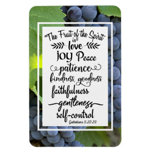Galatians 5:22-23 The Fruit of the Spirit Magneet