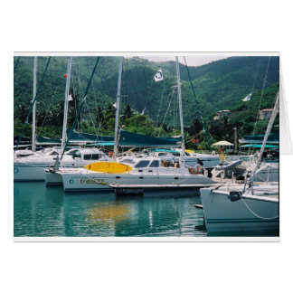 Galaxie à Nanny Cay-Tortola