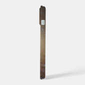 Galaxie Spirale Ngc 2841 (Côté gauche)