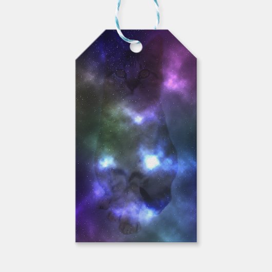 Galaxy Cat Gift Labels Cadeaulabel (Voorkant)
