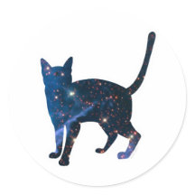 Galaxy Cat Sticker