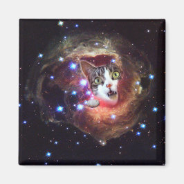 Galaxy Space Cats LOL 2 Inch Square Magnet Magneet