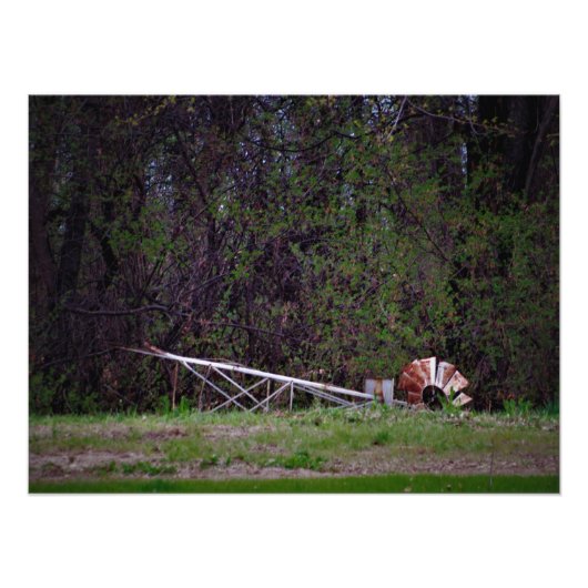 "Gale Push me" Foto Afdruk (Voorkant)