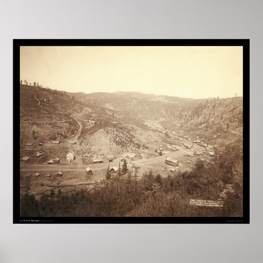 Galena South Dakota 1890 Poster (Voorkant)