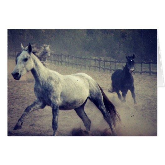 Galerie (Devant horizontal)