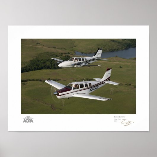 Galerie Beech Buddies Poster (Voorkant)