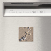 Galets Dans Le Magnet De Sable (In Situ (Lave-vaisselle))