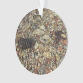 Galets dans Taylor Creek Nature Photography (devant)