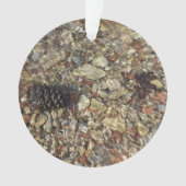 Galets dans Taylor Creek Nature Photography (devant)