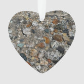 Galets de granit dans le lac Tenaya à Yosemite (devant)