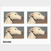 Galgo Windhund Rechthoekige Sticker (Vel)