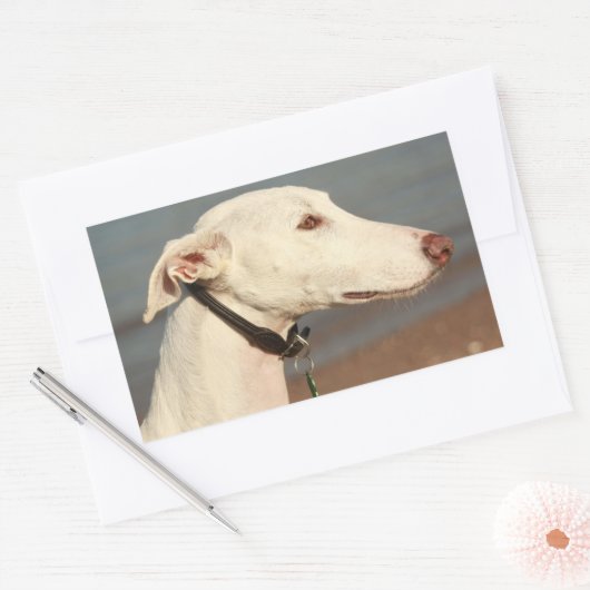 Galgo Windhund Rechthoekige Sticker (Envelop)