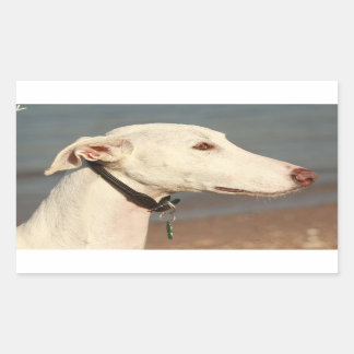 Galgo Windhund Rechthoekige Sticker