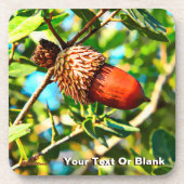 Galilee Acorn Bier Onderzetter (Voorkant)