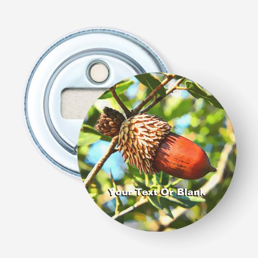 Galilee Acorn Button Flesopener (Voorkant)