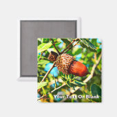 Galilee Acorn Magneet (Voorkant / Achterkant)