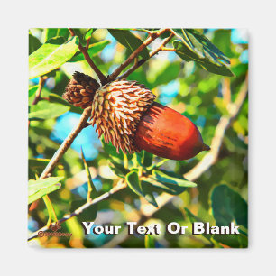Galilee Acorn Magneet