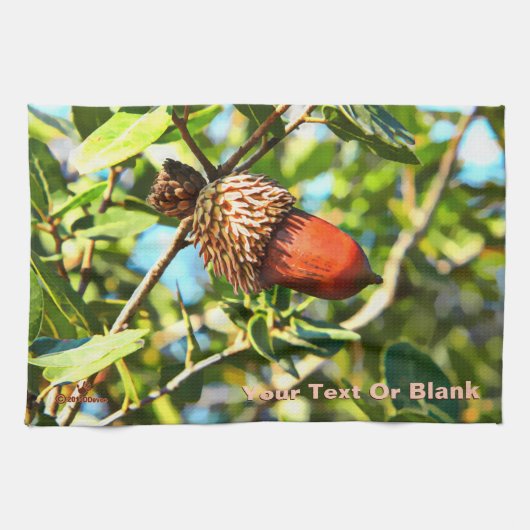 Galilee Acorn Theedoek (Horizontaal)