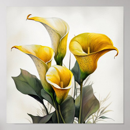 Galla Lys Lys Lily Art Imprimer Poster (Devant)