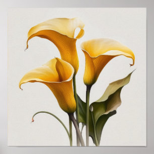 Galla Lys Lys Lily Art Imprimer Poster