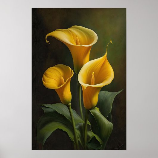 Galla Lys Lys Lily Art Imprimer Poster (Devant)