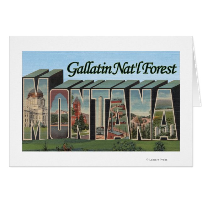 Gallatin Nat'l Forest, Montana (Devant horizontal)