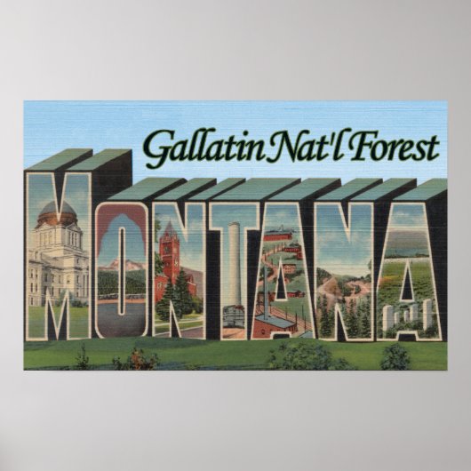 Gallatin Nat'l Forest, Montana Poster (Voorkant)