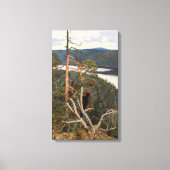 Gallen-Kallela - Great Black Woodpecker 1894 Canvas Afdruk (Voorkant)