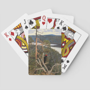 Gallen-Kallela - Great Black Woodpecker 1894 Pokerkaarten