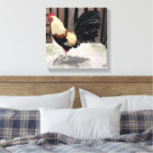 Gallo de Pelea/Gamecock toile étirée Imprimer (Insitu(Chambre))