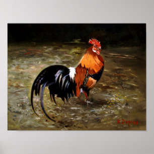 Gallo/Galo/Rooster Poster